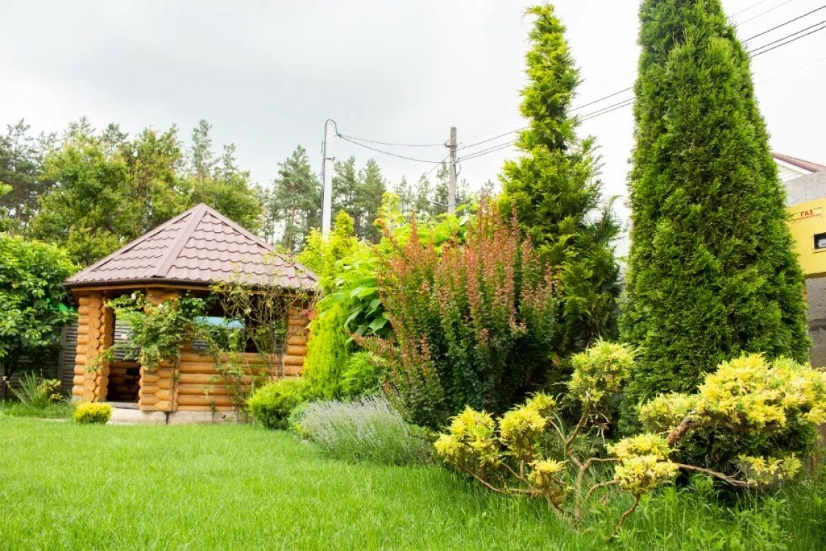 https://novocheboksarsk.tgv-stroy.ru/storage/app/uploads/public/637/ef4/fb3/637ef4fb3605f391429275.png
